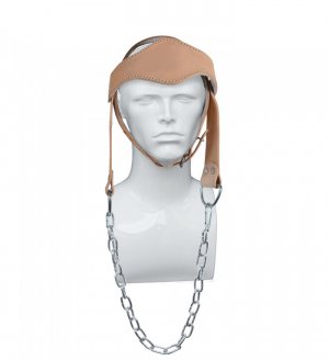 Head Harness